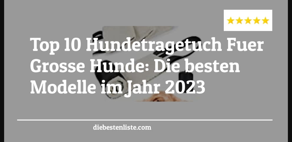 Top 10 Hundetragetuch Fuer Grosse Hunde Die Besten Modelle Im Jahr 2023 